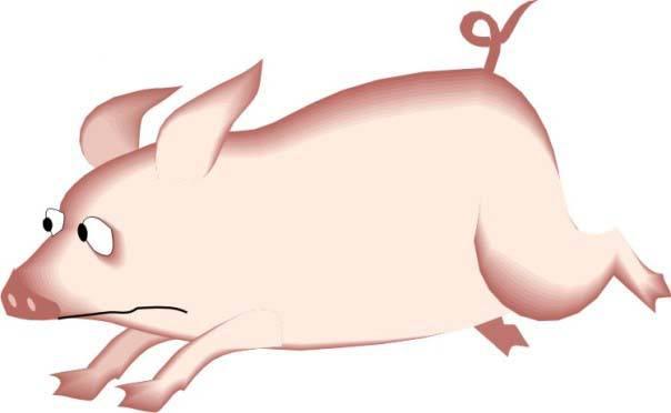 1年属猪今年每月财运，71年女人属猪2022