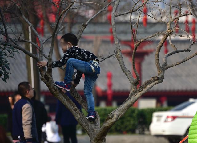 属鼠的生在什么日子比较好，2022 年不生几月鼠