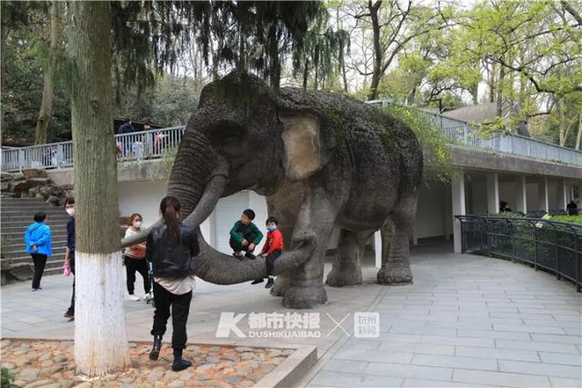 五几年的鼠今年多少岁，1996年属鼠是什么命