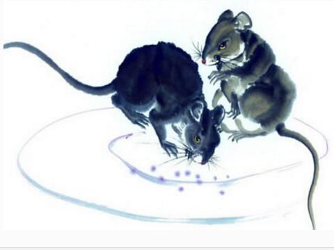 请问1996年属鼠的是什么命，96年火鼠为什么是水命