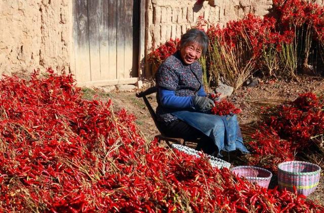 属羊跟属羊的姻缘怎么样，女生属羊几月份最不好