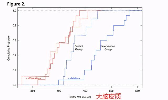 男孩最怕什么时辰出生，男孩午时出生最命苦