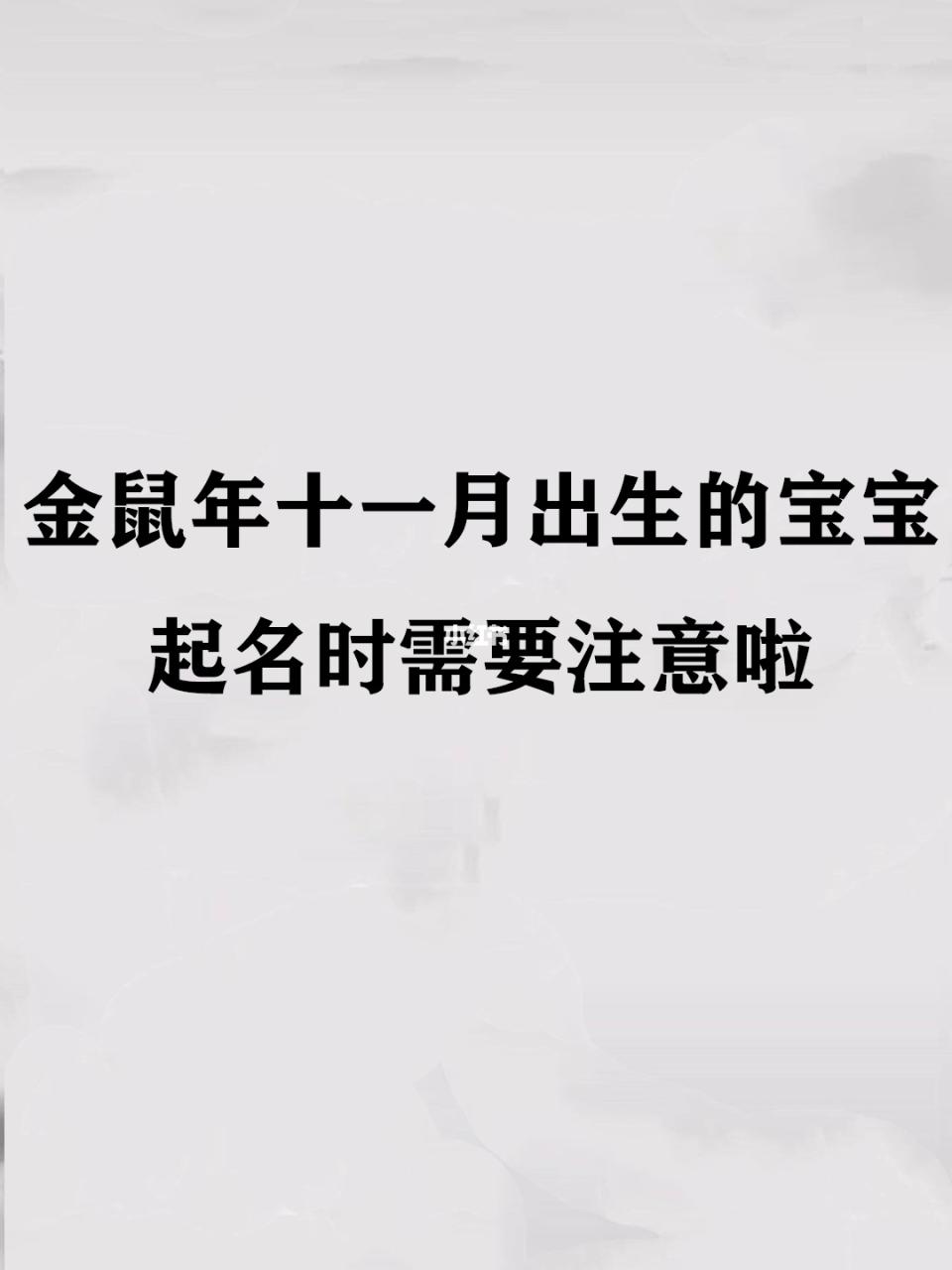 十一月的鼠是什么命，农历11月的老鼠是什么命