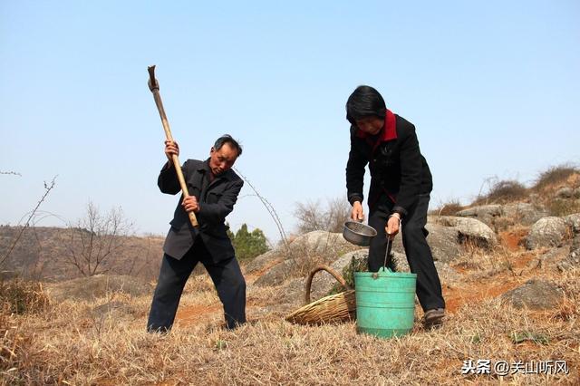 十蛇九富是什么意思，十个光头九个富还有一个