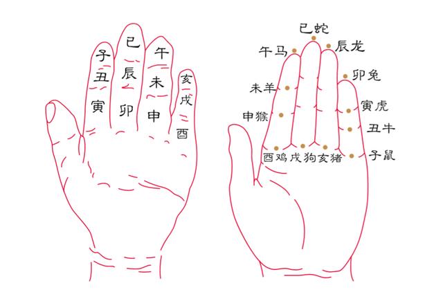 7年兔36岁是什么年，87年生肖兔2022