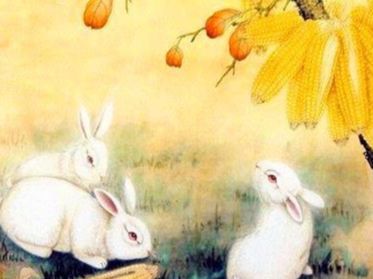 属兔的生到几月好，属兔的几月出生更好命