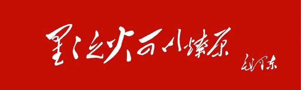 3年十一月的兔什么命，99年兔五行属什么命"