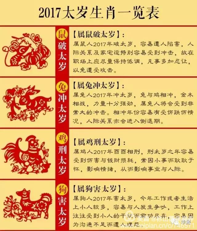 属兔找什么对象更好，九年属兔的找什么对象