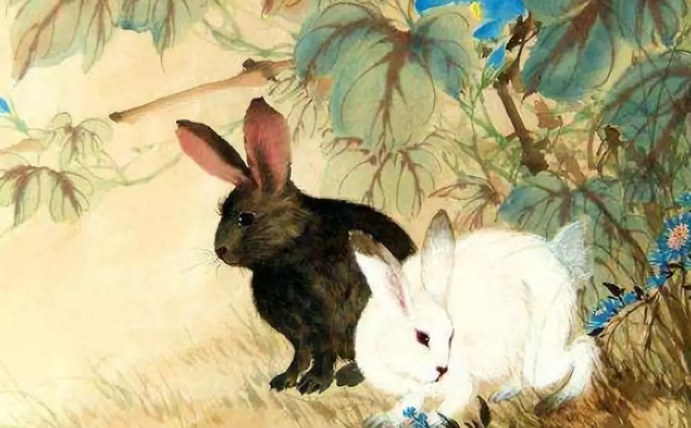 属兔和什么属相，属兔和属什么的最合适
