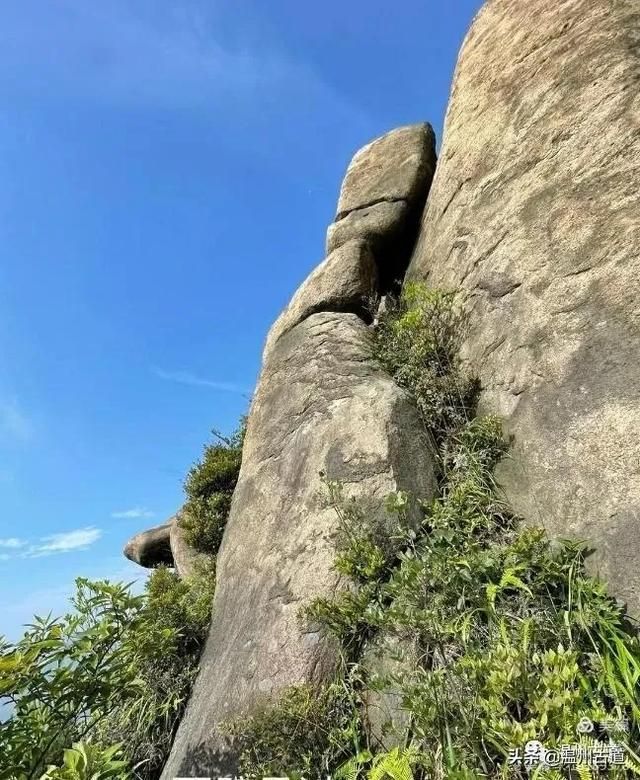 预言唯有玉兔上龙床，千佛万祖保护