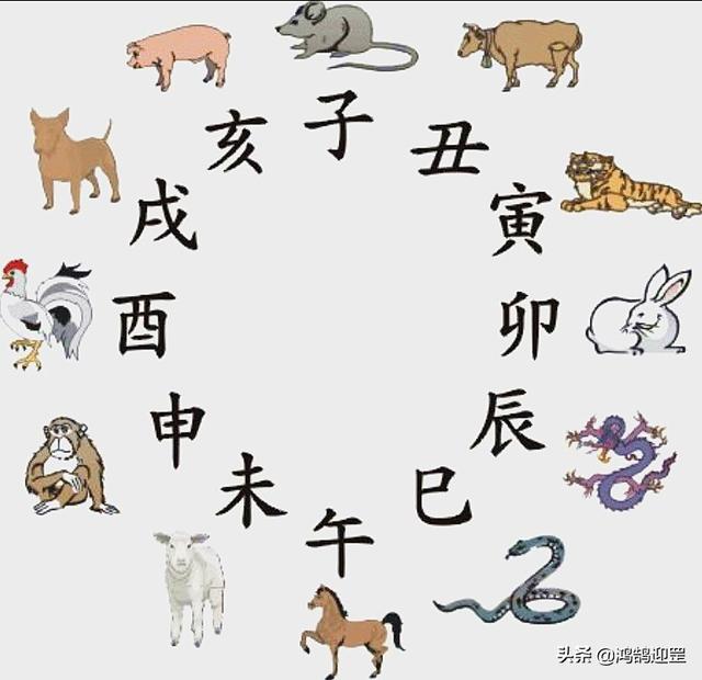 中国12生肖排序，12生肖排序婚配表
