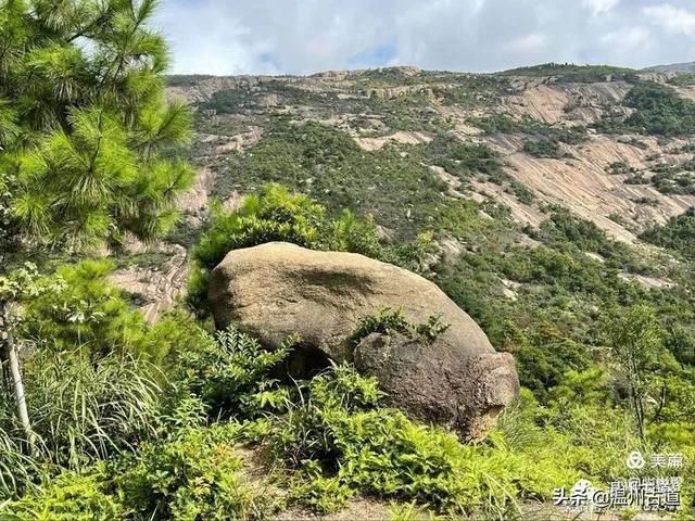 预言唯有玉兔上龙床，千佛万祖保护