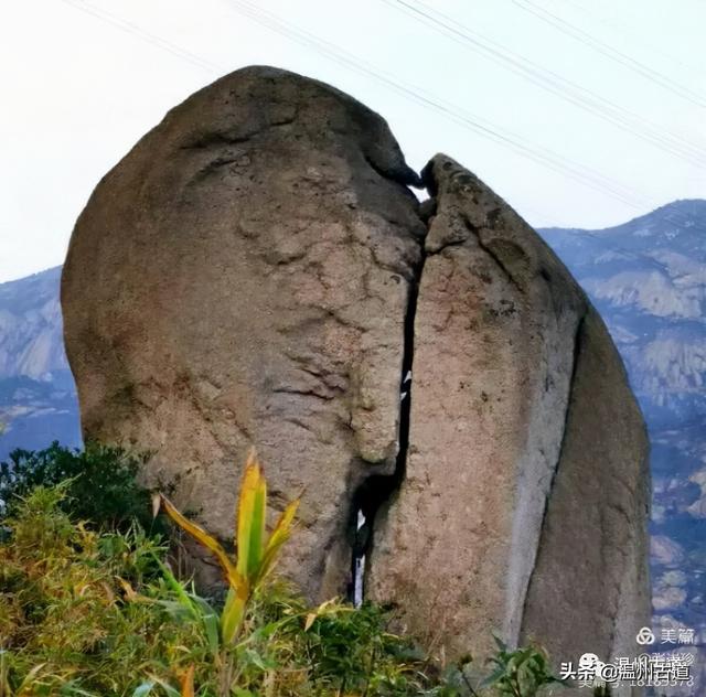 预言唯有玉兔上龙床，千佛万祖保护