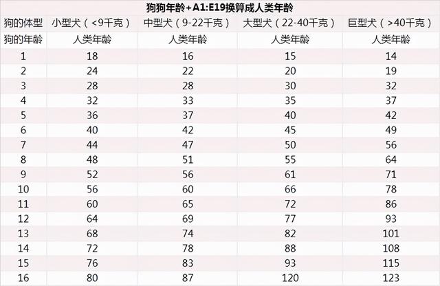 羊和人的年龄换算，羊的一岁等于人的几岁