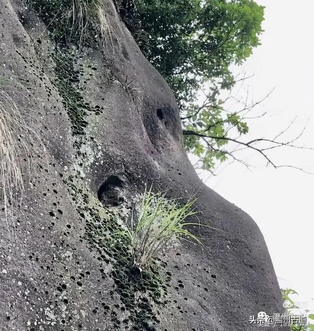 预言唯有玉兔上龙床，千佛万祖保护