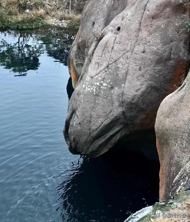 预言唯有玉兔上龙床，千佛万祖保护