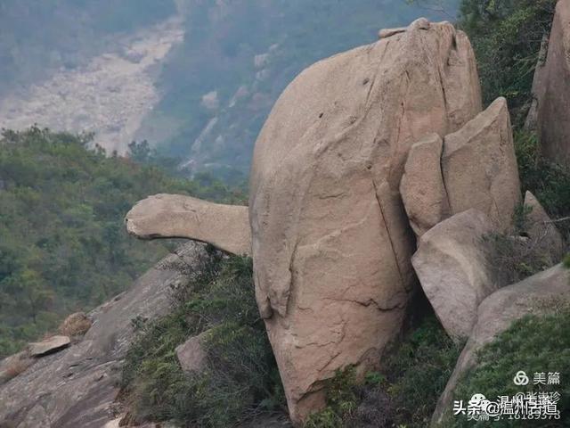 预言唯有玉兔上龙床，千佛万祖保护