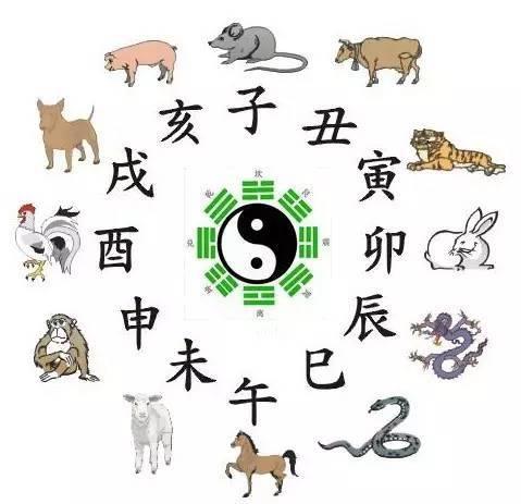 十=生肖年龄属相查询，00后生肖年龄对照表