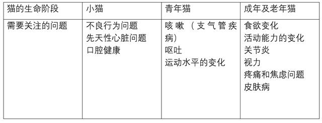 022年生肖年龄对照图，十二生肖属相查询表"