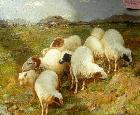 属羊人几月出生命最差，属羊几月出生的人命更好