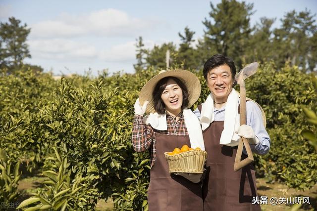 属兔的和属蛇的婚姻好吗，属兔的会在哪一年离婚