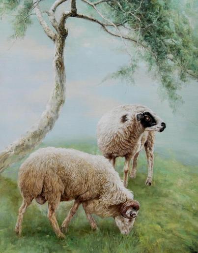 属羊人几月出生命最差，属羊几月出生的人命更好