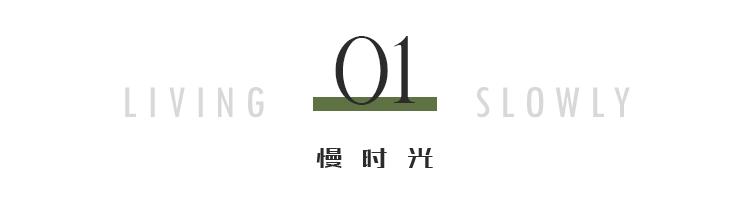 属兔的今年四十几岁，2022 属相年龄对照表查询