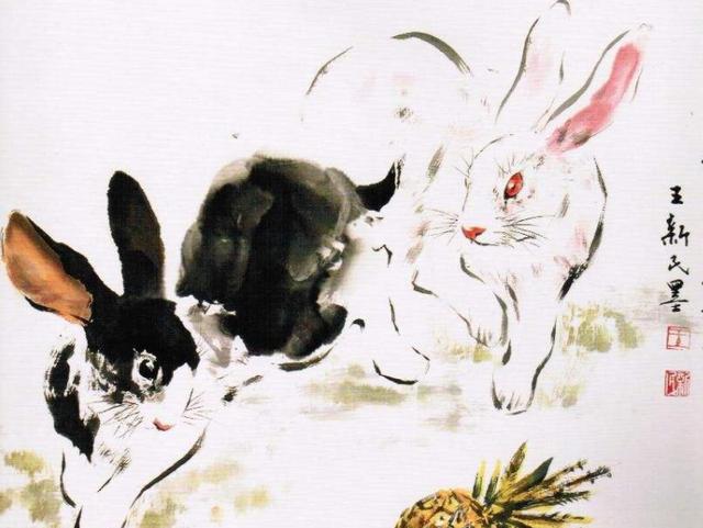 3年属兔一生大劫年，生肖兔命中有两大贵人"