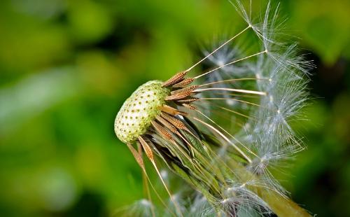 属虎桃花最重的月份，属虎2022 年桃花运