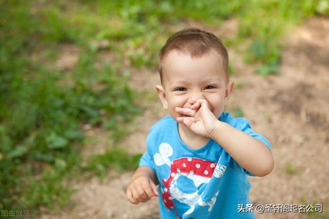 属虎男孩名字大全取名，属虎男宝宝起名字大全