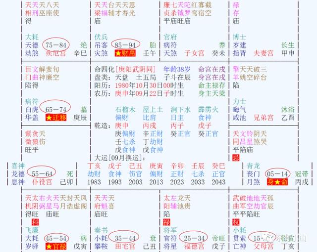 紫微测2022年运势，紫微科技星座每日运势