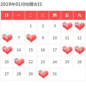 8年龙94狗什么时候结婚合适，泰迪狗的禁忌"