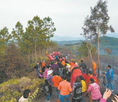 农村旺龙是什么意思，牛农是什么意思