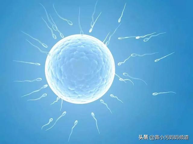 022生男生女表准确度，怀孕表生男生女准确度2022"