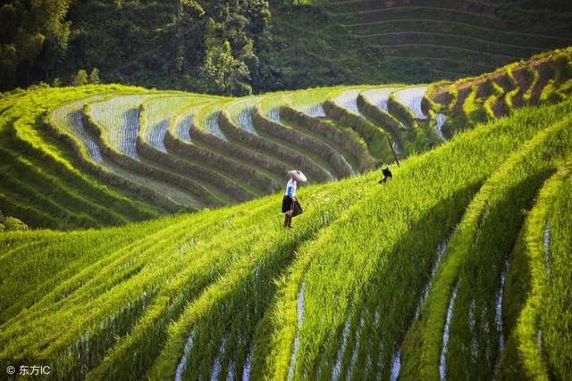 日柱看2022年必定结婚，2022年正缘出现的日柱