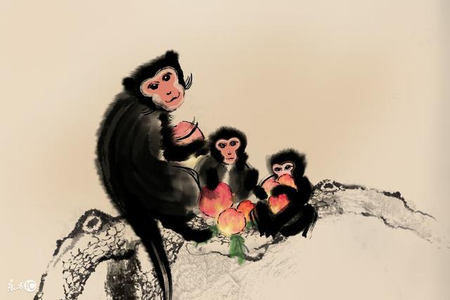 属猴的三合贵人是谁，属猴的三合贵人是哪几个
