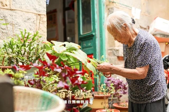 属鸡的老人去世年龄，属鸡的年龄表2022 虚岁