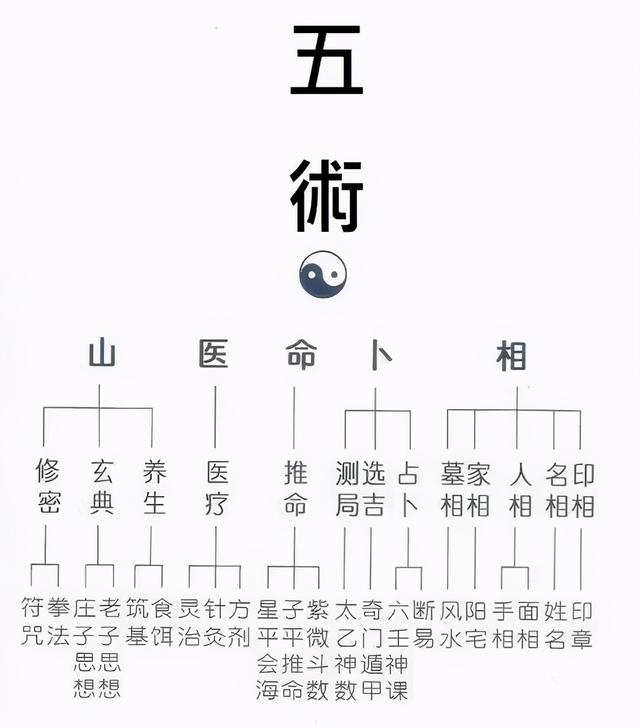 免费测算运势图，人生大运运势起伏图