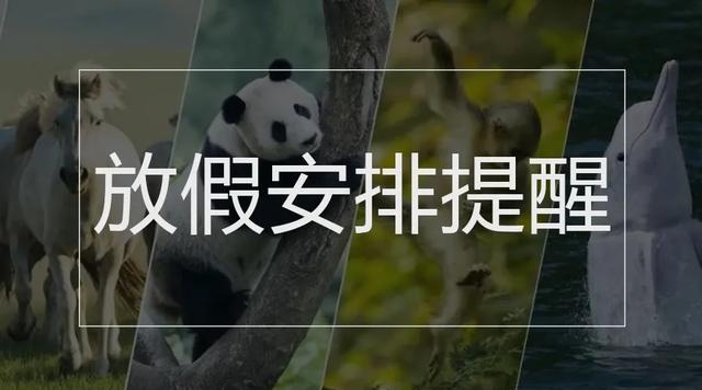 022十二生肖号码表图，2022年月份属相对照表"