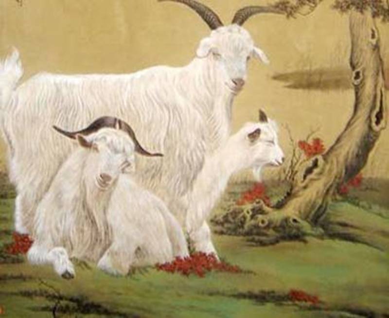 属羊的都有哪些年份，属羊的出生年份对照表