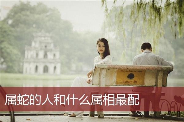 都是属蛇的可以结婚吗，一对同年属蛇的夫妻好不好