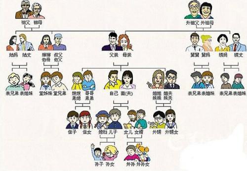 2属相什么命自查表，十二生肖属什么命总表"