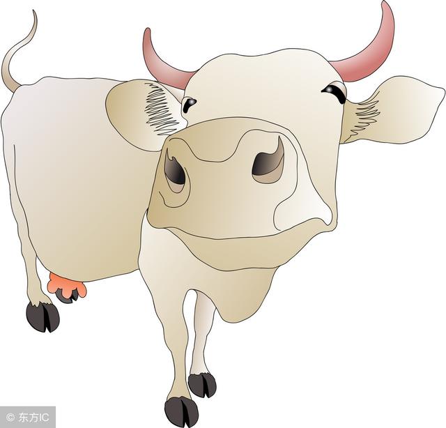 973年的牛今年财运如何，73年属牛有一灾能不能过去"