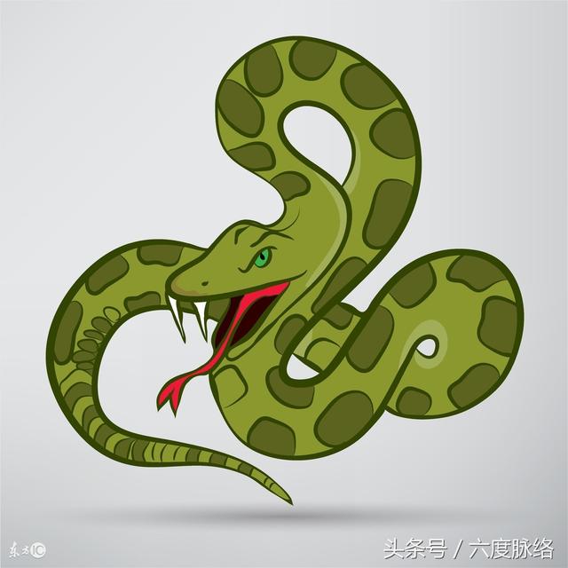 977属蛇的8位数幸运数字，属蛇的幸运数字是什么"