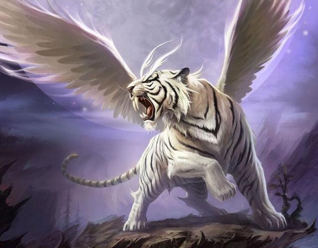 老虎的精神象征意义，动物所代表的象征意义