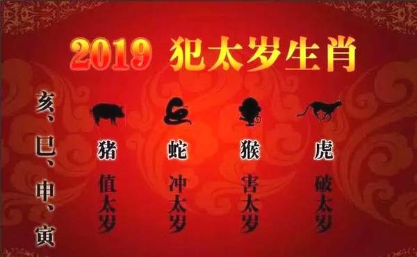 3年属蛇的今年多大，55年属什么生肖今年多少岁"