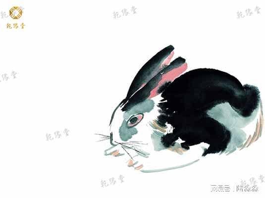 022年属兔是多少岁，属兔2022年是太岁年吗"