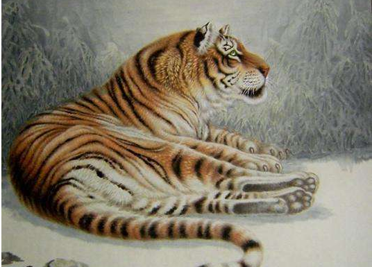 属虎的是几年出生的，属虎的今年多大2022 年