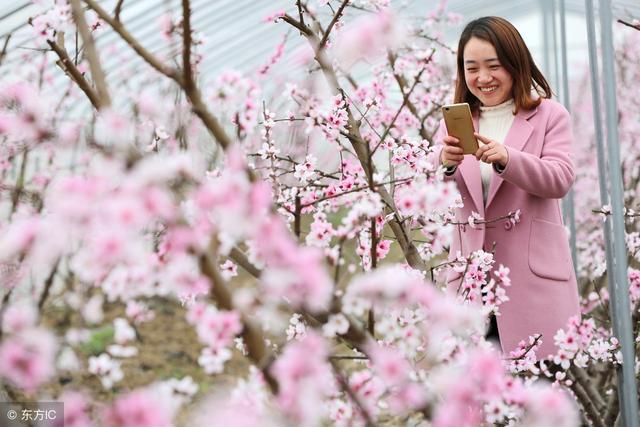 属蛇的桃花贵人是什么，属龙的桃花贵人