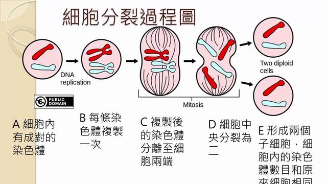 怎样算人的寿命最准，如何算自己的寿命